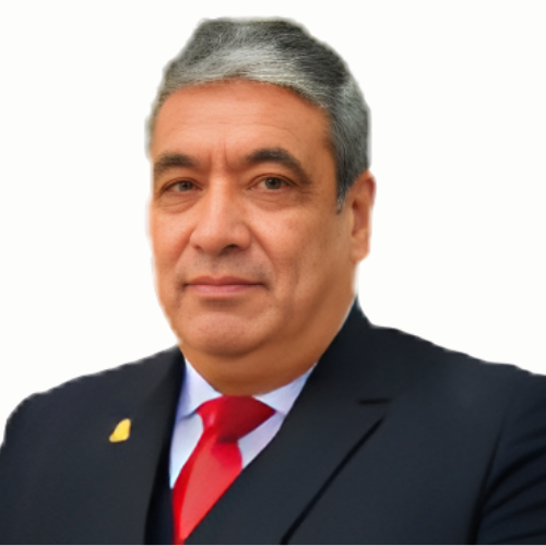 Dr. Ing Elmar Javier Franco Gonzales